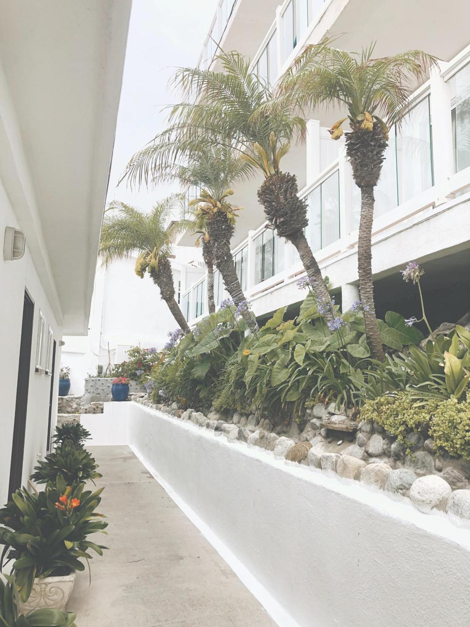 Capri Laguna On The Beach - A Boutique Hotel Laguna Beach Esterno foto
